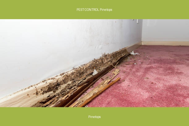 PEST CONTROL Pinetops